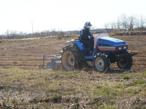 DSCN2929