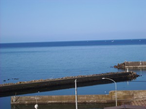 DSCN2934