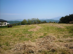 DSCN3041